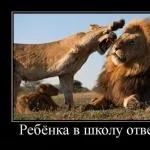 Шість правил розставання (_______ Брехати червоніти дурниця) Шість правил розставання