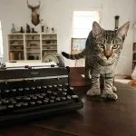 Шестипалі коти Ернеста Хемінгуея (Хемінгуея) Шестипалі коти Ернеста Хемінгуея