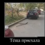 Шість правил розставання (Брехати червоніти дурниця жерти) Шість правил розставання