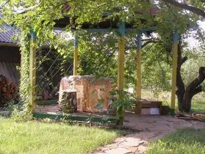 Шпалера для винограду як зробити своїми руками (своїми) Шпалера для винограду як зробити своїми руками