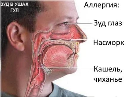 Лущиться шкіра під очима