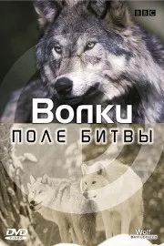 Фільми про вовків дивитися онлайн безкоштовно, список кращих фільмів про вовків (список) Фільми про вовків дивитися онлайн безкоштовно, список кращих фільмів про вовків