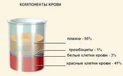 Фізіологія системи крові - реферат, сторінка 1 (плазми) Фізіологія системи крові - реферат, сторінка 1