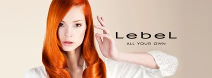 Фітоламінірованіе волосся lebel luquias, палітра, відгуки, ціна в салоні (lebel) Фітоламінірованіе волосся lebel luquias, палітра, відгуки, ціна в салоні