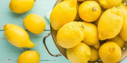 Фейхоа з цукром - корисні властивості, калорійність і рецепти приготування на зиму з фото (приготування) Фейхоа з цукром - корисні властивості, калорійність і рецепти приготування на зиму з фото