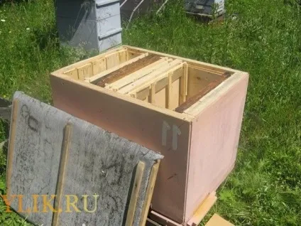 Фанерні вулики в бджільництві різновиди та виготовлення своїми руками, відгуки (бджільництво) Фанерні вулики в бджільництві різновиди та виготовлення своїми руками, відгуки