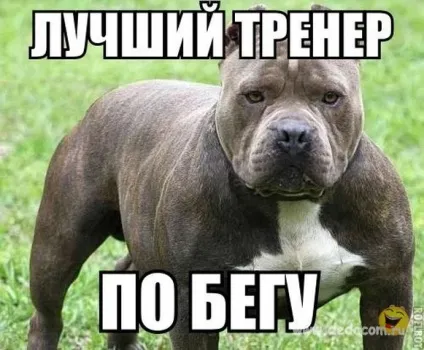 Фітнес-мафія, або як нас розводять на гроші в клубах «краси і здоров'я» (клубах) Фітнес-мафія, або як нас розводять на гроші в клубах «краси і здоров'я»