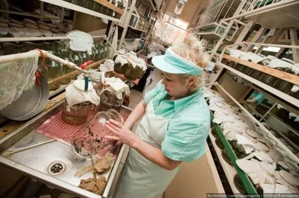Фоторепортаж з міжнародного центру медичної п'явки (унікальні кадри народження) Фоторепортаж з міжнародного центру медичної п'явки