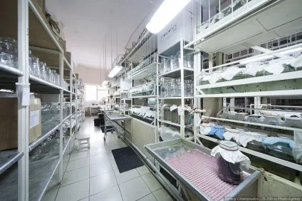 Фоторепортаж з міжнародного центру медичної п'явки (міжнародний центр медичної п'явки) Фоторепортаж з міжнародного центру медичної п'явки