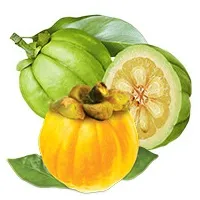 Гарцинія камбоджійська (garcinia cambogia, hca) (cambogia) Гарцинія камбоджійська (garcinia cambogia, hca)