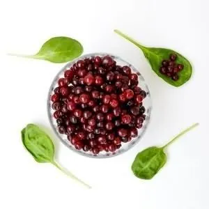 Фукус пухирчастий 1