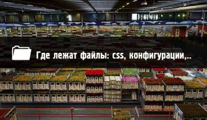 Де лежить css, favicon, файл конфігурації, шапка, админка joomla