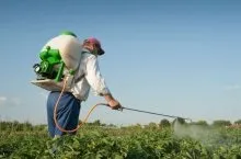 Гербіцид «раундап» інструкція по застосуванню і поради підвищення ефективності (інструкція) Гербіцид «раундап» інструкція по застосуванню і поради підвищення ефективності