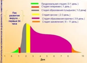 Герпес на обличчі (фото) причини, симптоми і лікування (особі) Герпес на обличчі (фото) причини, симптоми і лікування