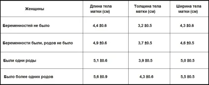 Гіпоплазія матки чи можлива вагітність (матки) Гіпоплазія матки чи можлива вагітність