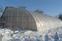 Голландська технологія вирощування полуниці - особливості і плюси методу (голландська технологія вирощування полуниці відео) Голландська технологія вирощування полуниці - особливості і плюси методу
