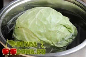 Голубці зі свіжої капусти покроковий рецепт з фото - жіночий сайт femme today (капусти) Голубці зі свіжої капусти покроковий рецепт з фото - жіночий сайт femme today