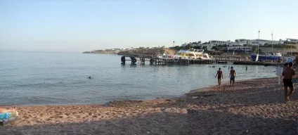 Місто Шаркс бей