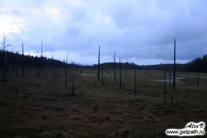 Гора Воттоваара (Воттоваара) в Карелії