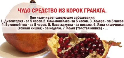 Гранатові кірки від проносу, рецепт як заварити відвар і настій - здоров'я інфо (рецепт) Гранатові кірки від проносу, рецепт як заварити відвар і настій - здоров'я інфо
