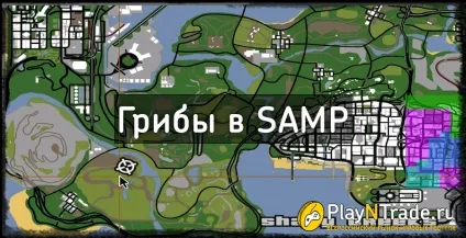 Гриби в samp (Сампо)