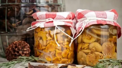 Гриби заготівля та консервування - гриби опис, фото, як готувати гриби (готувати) Гриби заготівля та консервування - гриби опис, фото, як готувати гриби