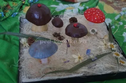 Гриби своїми руками