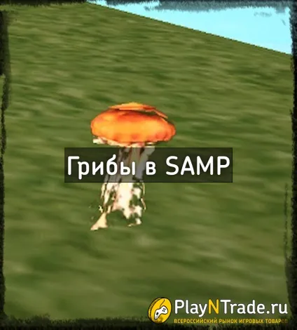 Гриби в samp (Сампо)