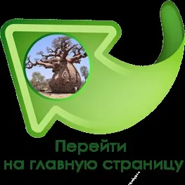 Інструкція з використання маски для обличчя з баобаба baobab biomask (косметика з баобаба) Інструкція з використання маски для обличчя з баобаба baobab biomask