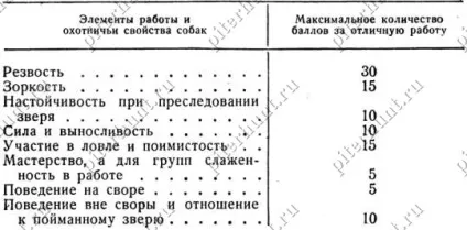 Випробування мисливських собак, посібник з мисливського собаківництва, бібліотека, полювання без кордонів (оцінка мисливських якостей) Випробування мисливських собак, посібник з мисливського собаківництва, бібліотека, полювання без кордонів