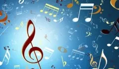 З чого зроблені пластинки ксилофона