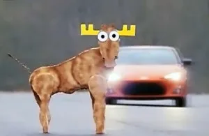 Історія появи компанії mercedes benz, автомобілі від а до я (компанії) Історія появи компанії mercedes benz, автомобілі від а до я