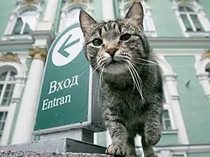 Історія ермітажу