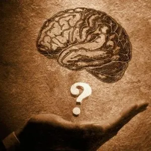 Вимірюємо інтелект і тестуємо iq