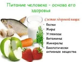 З чого складається наша їжа (чого) З чого складається наша їжа