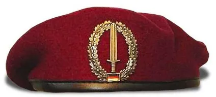Історія і різновиди військових беретів (60 фото) (темно-бордового кольору Maroon) Історія і різновиди військових беретів (60 фото)