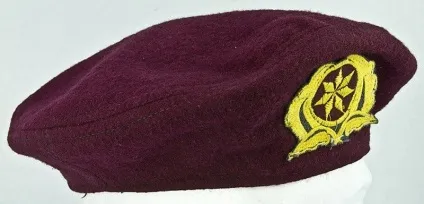 Історія і різновиди військових беретів (60 фото) (військових) Історія і різновиди військових беретів (60 фото)