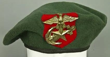 Історія і різновиди військових беретів (60 фото) (темно-бордового кольору Maroon) Історія і різновиди військових беретів (60 фото)