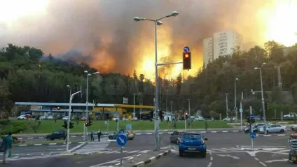 Ізраїль горить терористи підпалили міста, скориставшись штормом і посухою (фото, відео) (кварталів) Ізраїль горить терористи підпалили міста, скориставшись штормом і посухою (фото, відео)