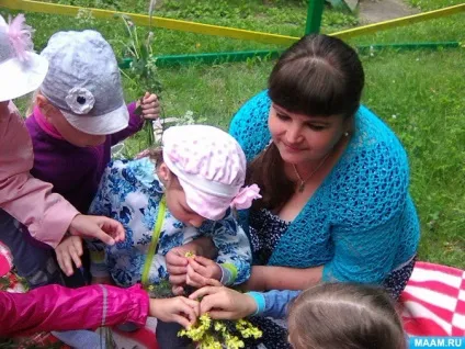 Виготовлення віночка з польових квітів (доу) Виготовлення віночка з польових квітів