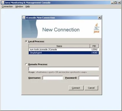 Java management extensions