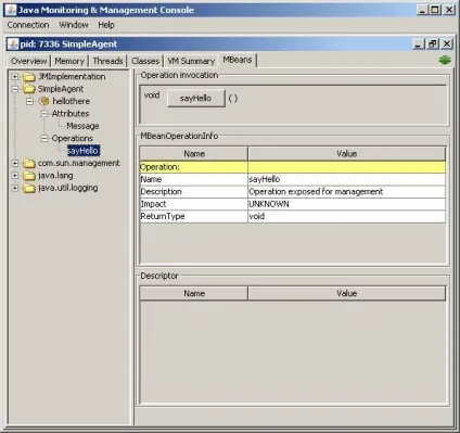 Java management extensions