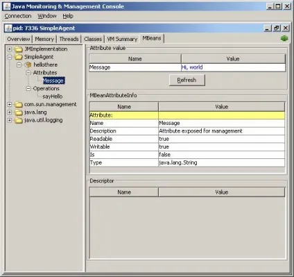 Java management extensions