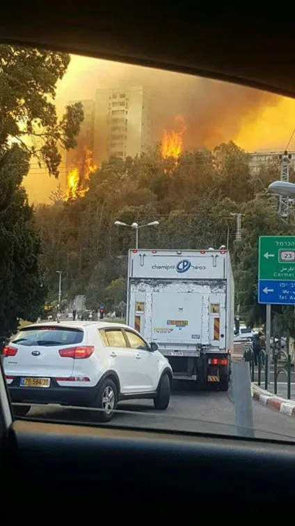 Ізраїль горить терористи підпалили міста, скориставшись штормом і посухою (фото, відео) (Ізраїль) Ізраїль горить терористи підпалили міста, скориставшись штормом і посухою (фото, відео)
