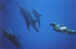 Як дихати під водою 1
