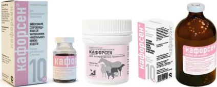 Кафорсен - інструкція із застосування для собак, ціна та відгуки, «дай лапу» (собак) Кафорсен - інструкція із застосування для собак, ціна та відгуки, «дай лапу»