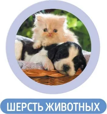 Симптоми і профілактика алергії новими препаратами - корпорація сибірське здоров'я (сибірське) Симптоми і профілактика алергії новими препаратами - корпорація сибірське здоров'я