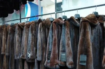 Шуба з бабака (59 фото) скільки коштує, монгольський бабак, стрижений, трапеція, світла, тепла або (скільки) Шуба з бабака (59 фото) скільки коштує, монгольський бабак, стрижений, трапеція, світла, тепла або