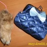 Які щеплення роблять кроликам (кроликам) Які щеплення роблять кроликам
