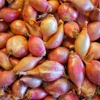 Як і коли садити цибулю
